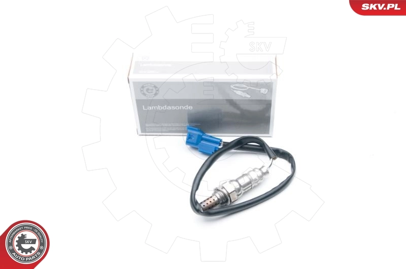 Oxygen Sensor